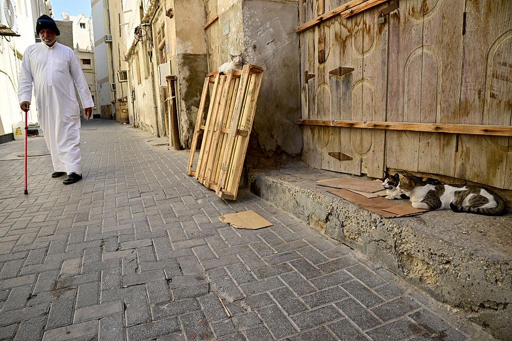 الدين العام