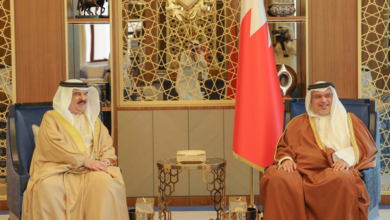 وثيقة ويكيليكس تفضح عقيدة الحكم في البحرين: الارتياب الطائفي أساس السلطة منذ 2006