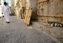 الدين العام