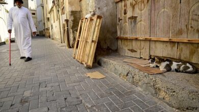 الدين العام