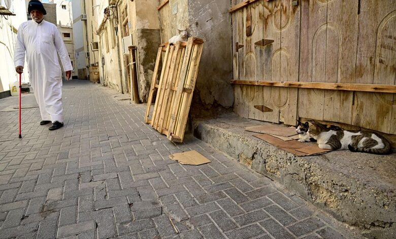 الدين العام