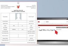 ظهور عبارة "لا جنسية له" في بيانات بحرينيين إلكترونية يعيد الجدل حول سياسة إسقاط الجنسية